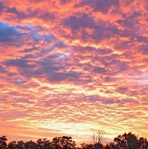 Meet your Posher, Dianne